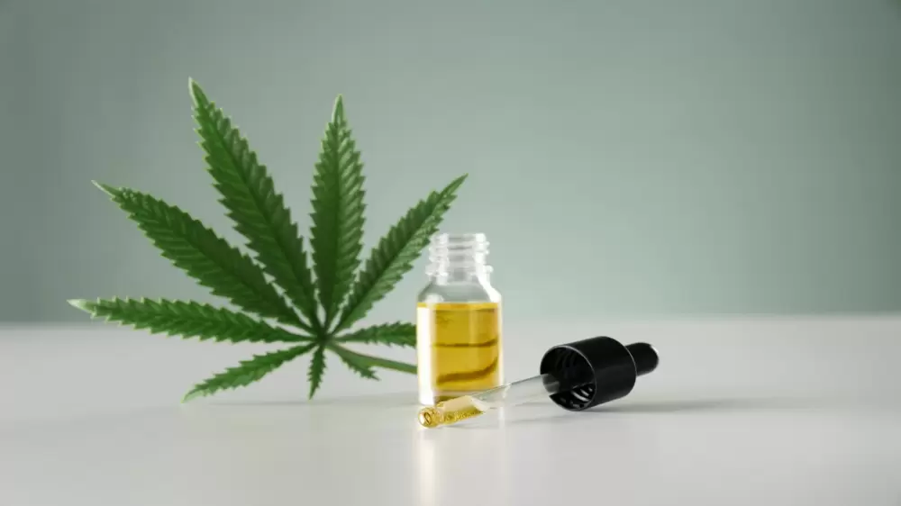 cannabis oil