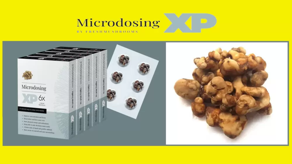 psilocybe microdosing truffles