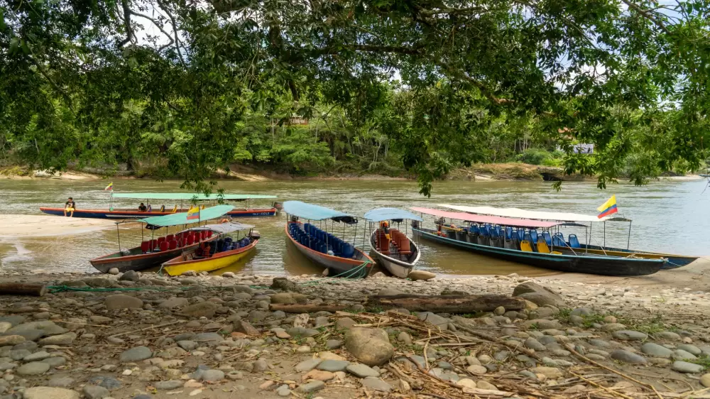 amazone hapé cohoba